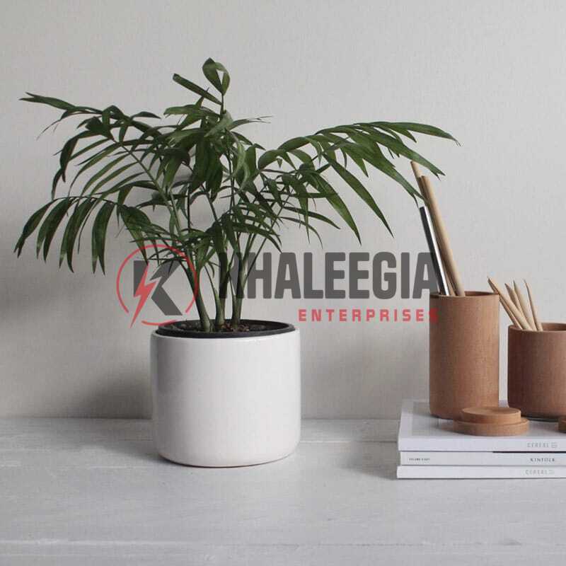 portfolio-9