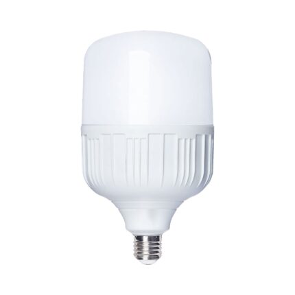 R-30R - Roska 30W Daylight E27 T-Shape LED Bulb